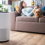 آیا دستگاه تصفیه هوا واقعا مفید است؟ نکات مهم