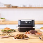 بهترین مدل سرخ‌کن نینجا؛ کارایی و ویژگی ها