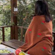 photo_2025-11-29_11-09-42